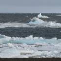 Sea ice is returning along shoreline.